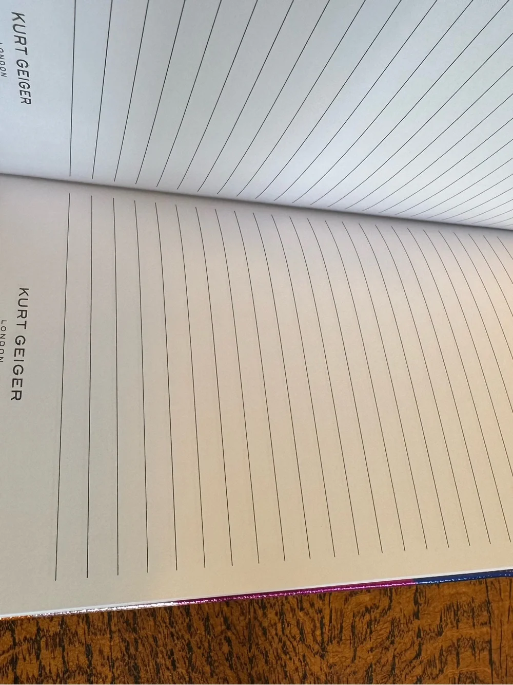 NWOT Kurt Geiger Metallic Rainbow Eagle Head Notebook w/Dust Bag
